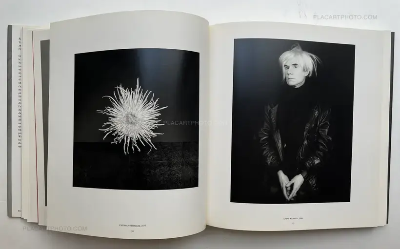 Mapplethorpe