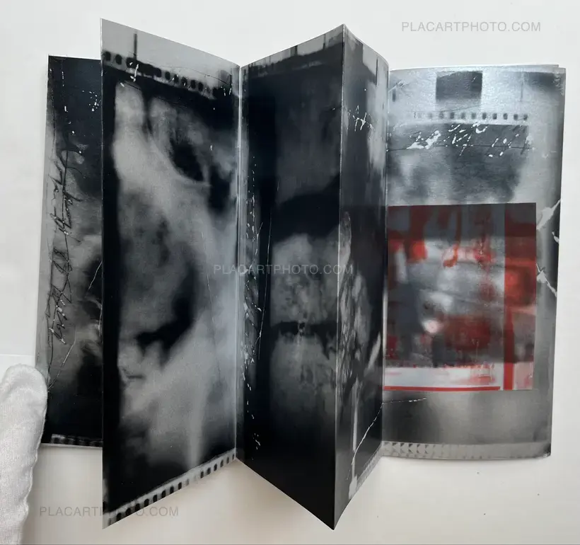 SURVEILLANCE POETICS OF REEL, ODSJAJ