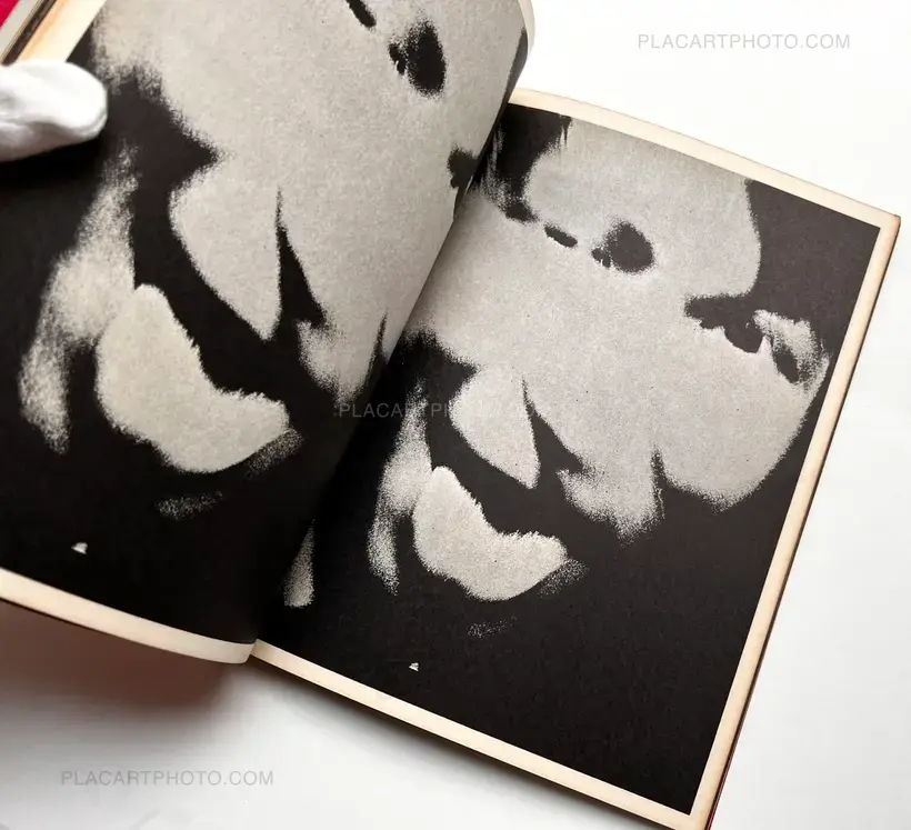 Provoke (First edition)