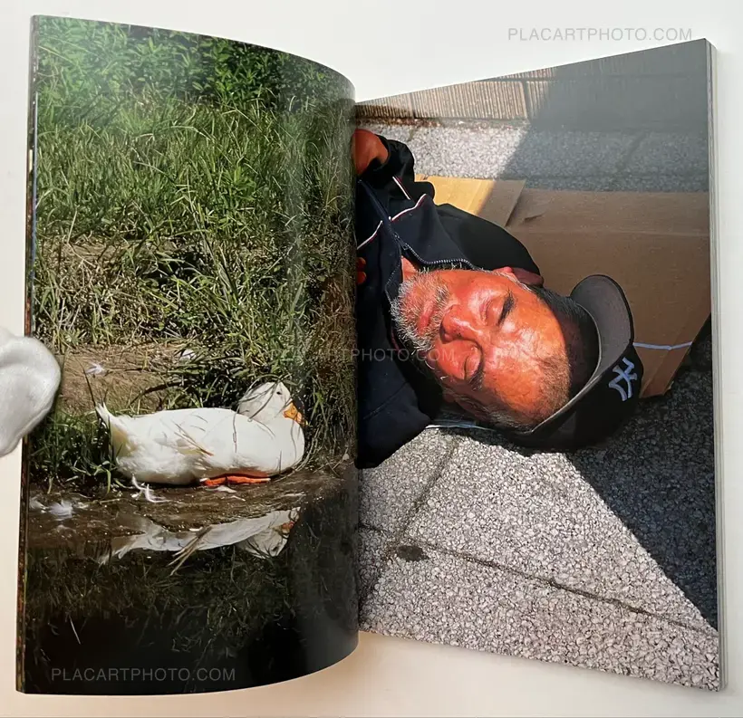 Degree Zero - Yokohama