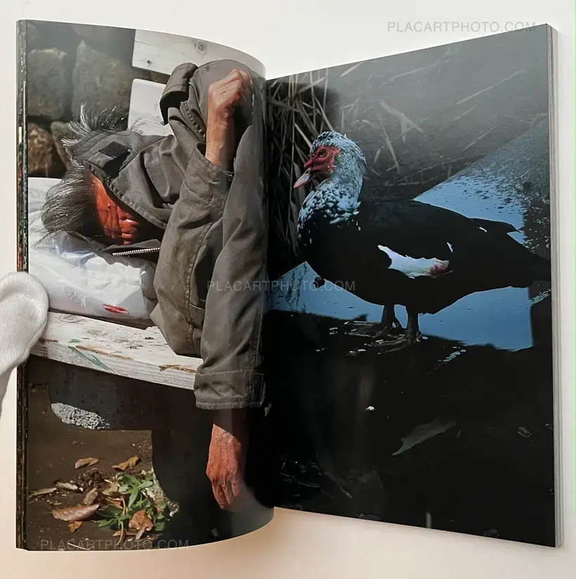 Degree Zero - Yokohama