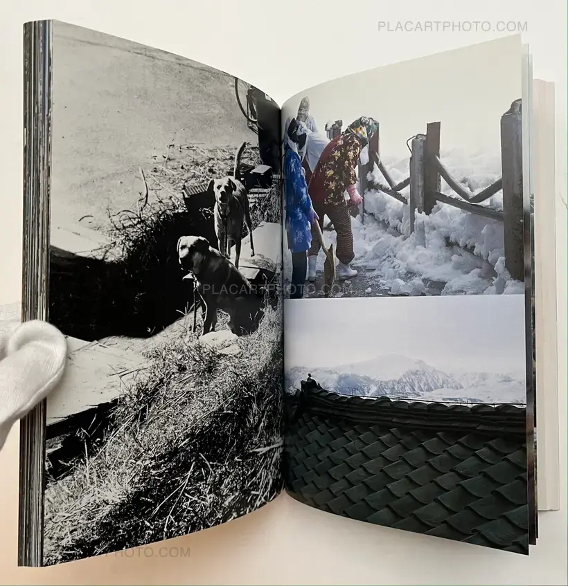 Degree Zero - Yokohama