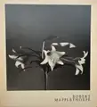 Robert Mapplethorpe Kunsthalle Basel