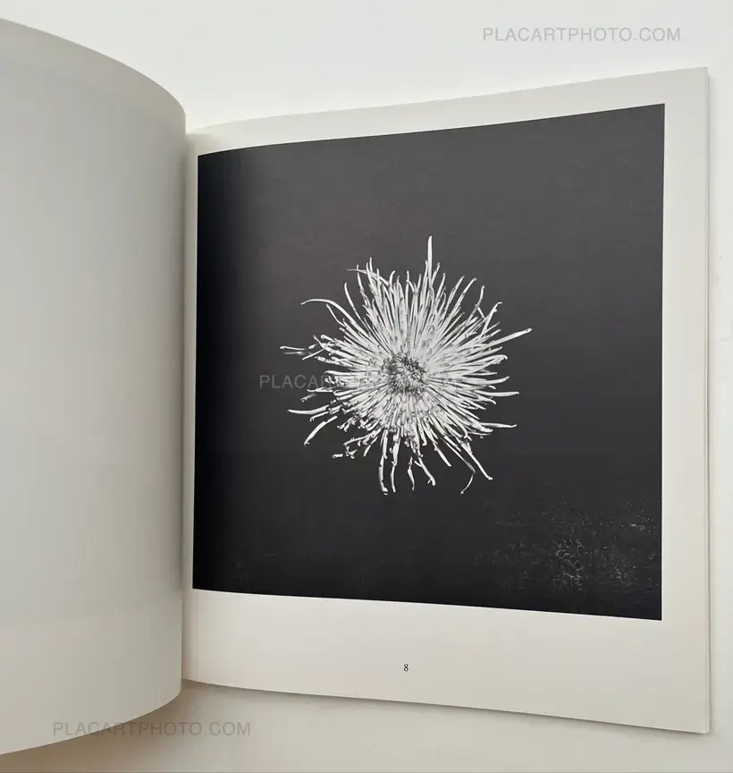 Robert Mapplethorpe Kunsthalle Basel