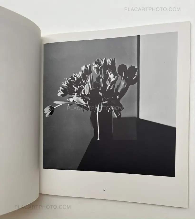 Robert Mapplethorpe Kunsthalle Basel