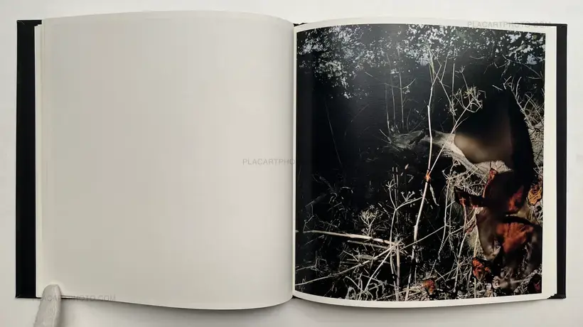 Talking to Ants (SIGNED)