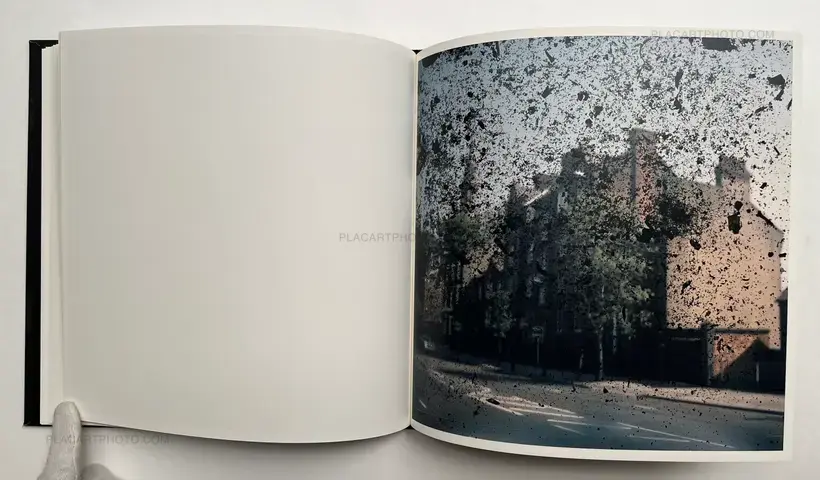 Talking to Ants (SIGNED)