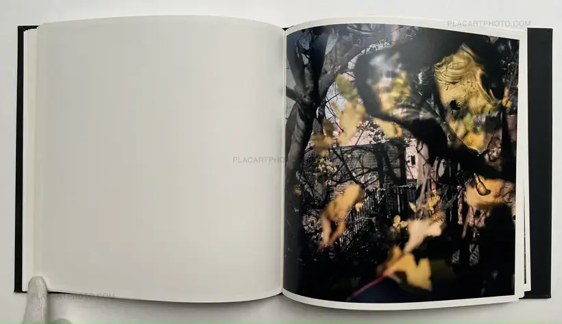 Talking to Ants (SIGNED)