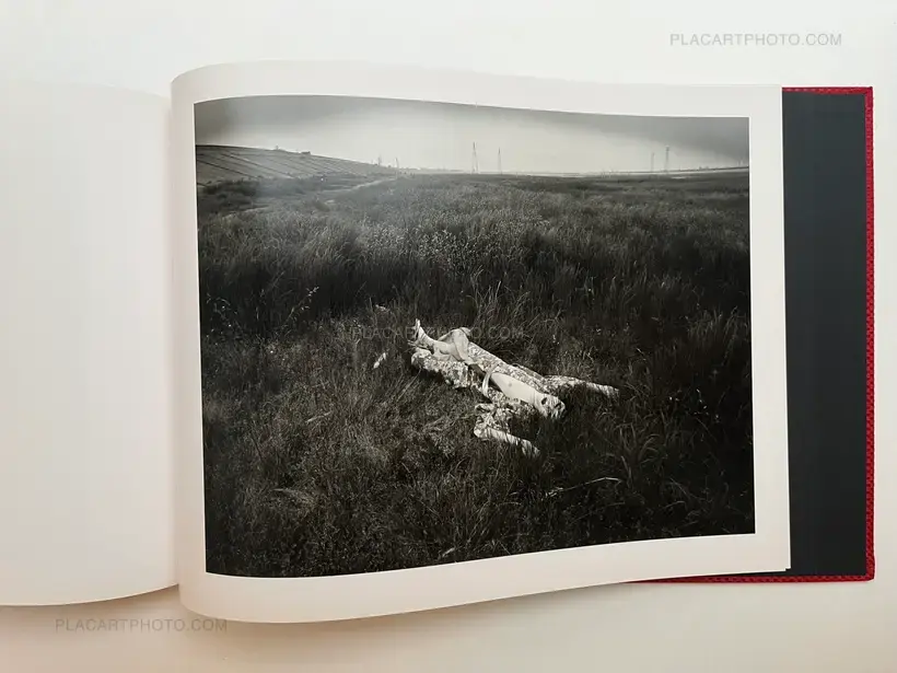 Simmon: a Private Landscape (Signed and numbered /900)