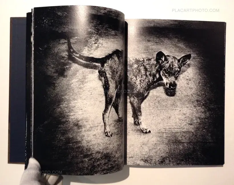 By the River of Kings