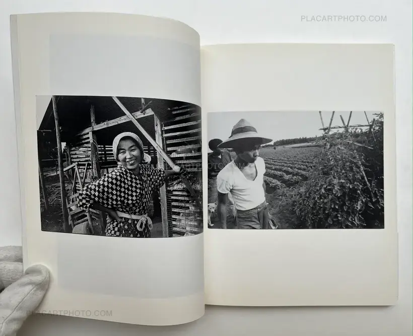 Sanrizuka Plegaria a un Labrador (SIGNED)