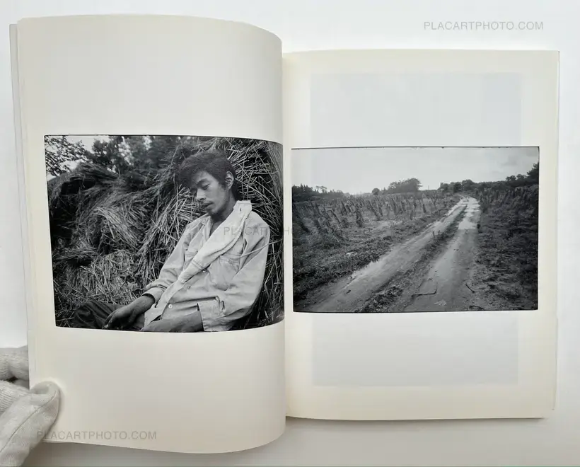 Sanrizuka Plegaria a un Labrador (SIGNED)