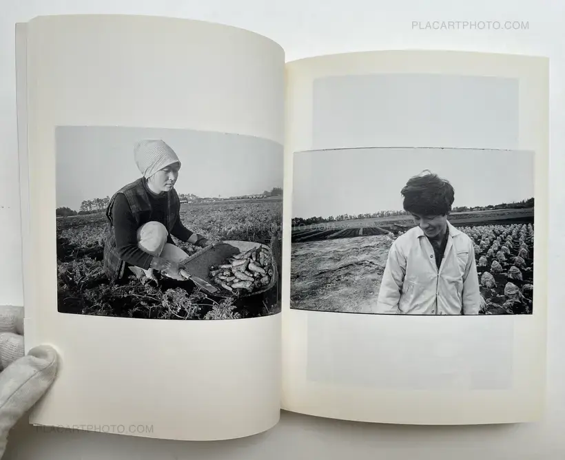 Sanrizuka Plegaria a un Labrador (SIGNED)