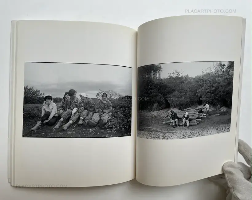 Sanrizuka Plegaria a un Labrador (SIGNED)