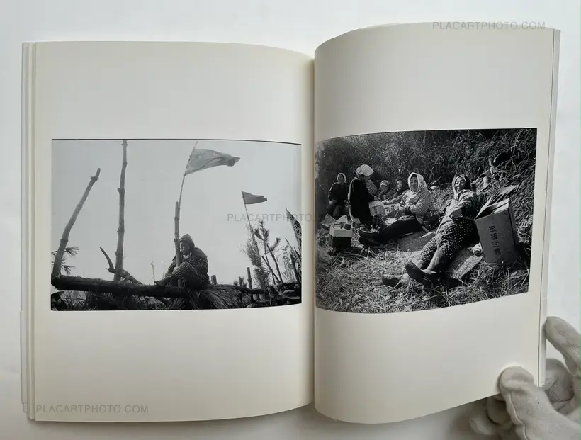 Sanrizuka Plegaria a un Labrador (SIGNED)