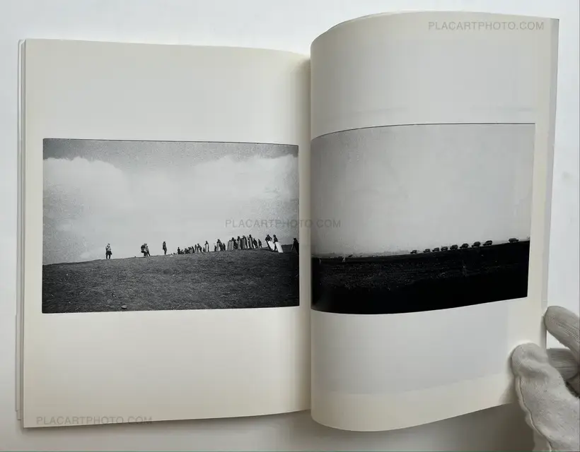 Sanrizuka Plegaria a un Labrador (SIGNED)