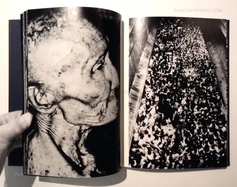 By the River of Kings