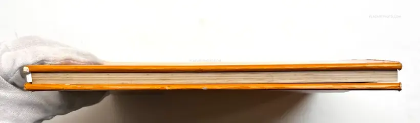 Warabe goyomi / Children the year around