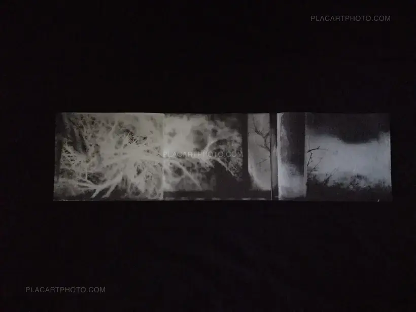 TRANSMETTRE PUTOVANJE PROLAZITI, SLIKE (EDT OF 150 SIGNED)