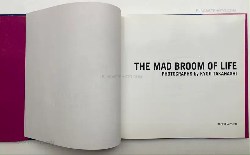 THE MAD BROOM OF LIFE