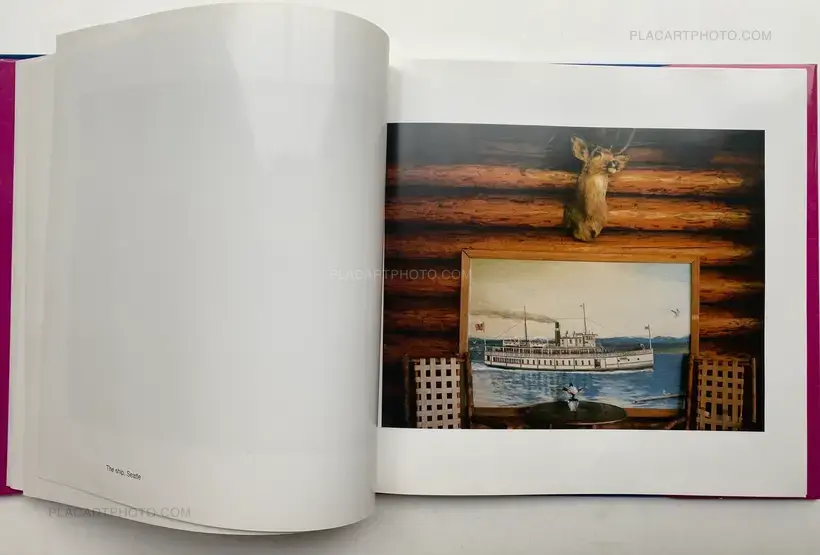 THE MAD BROOM OF LIFE