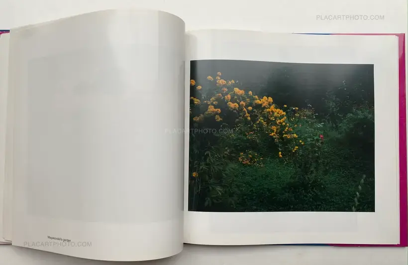 THE MAD BROOM OF LIFE