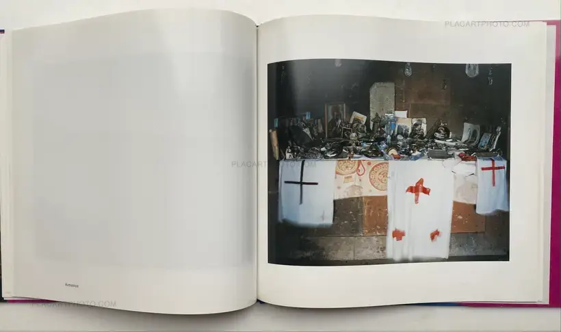 THE MAD BROOM OF LIFE