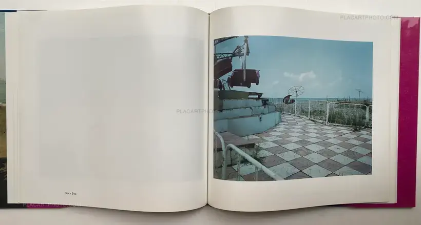 THE MAD BROOM OF LIFE