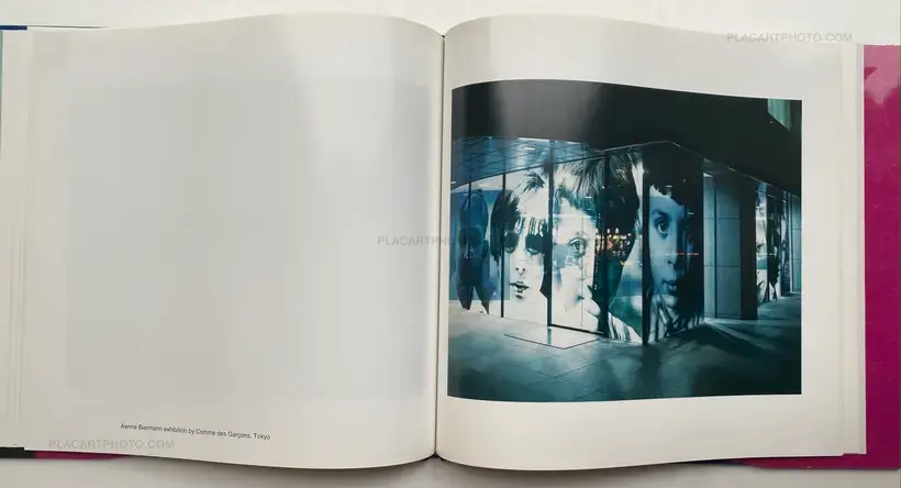 THE MAD BROOM OF LIFE