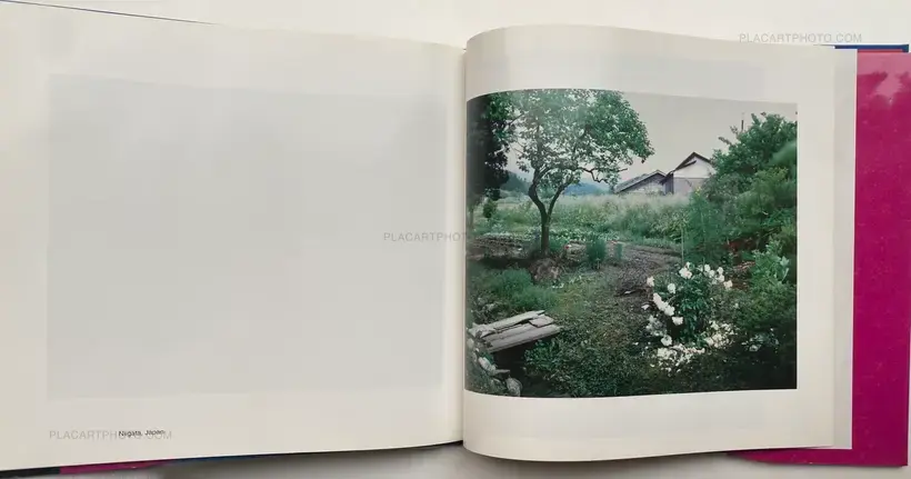 THE MAD BROOM OF LIFE