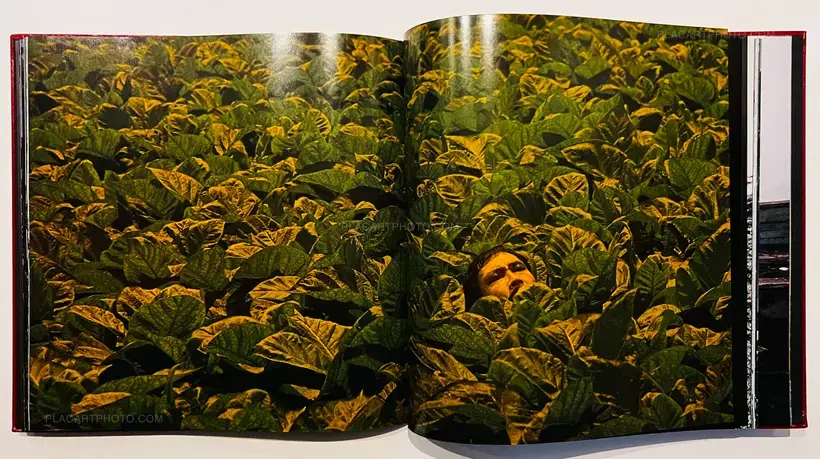 Maro Akaji / Genyako (Signed)