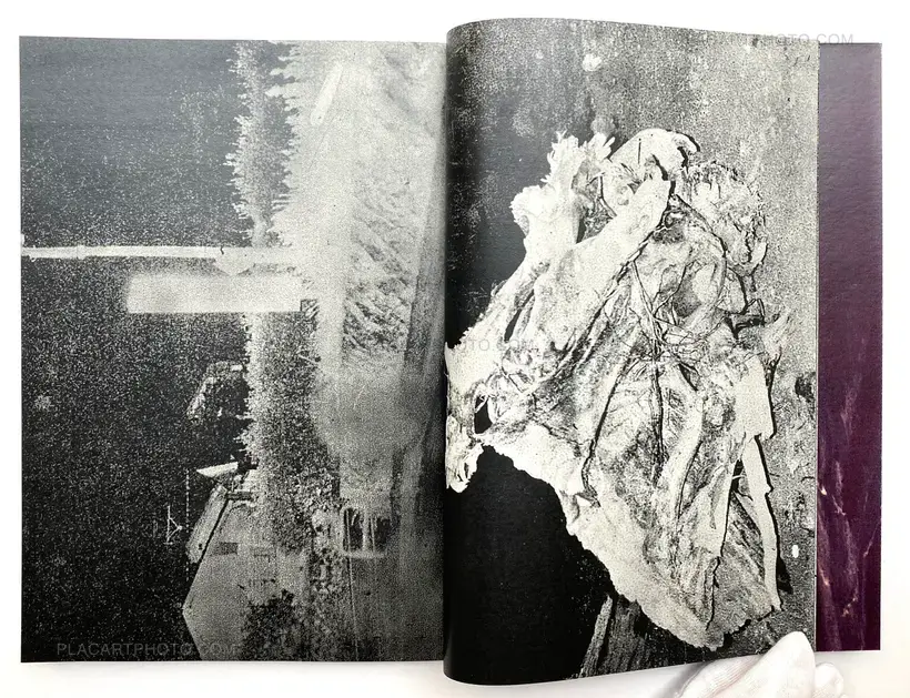 SADOGASHIMA (Signed)