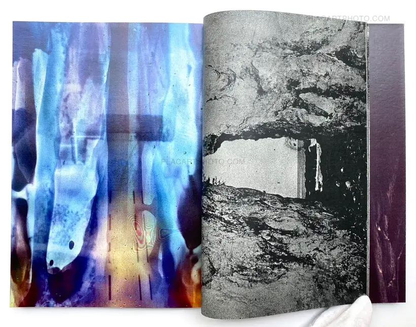 SADOGASHIMA (Signed)