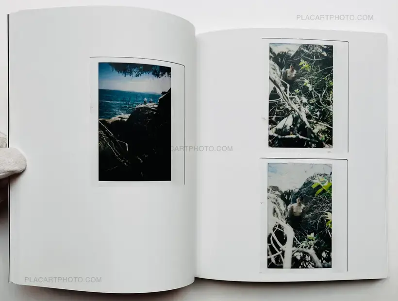 Why so shy? (SIGNED)