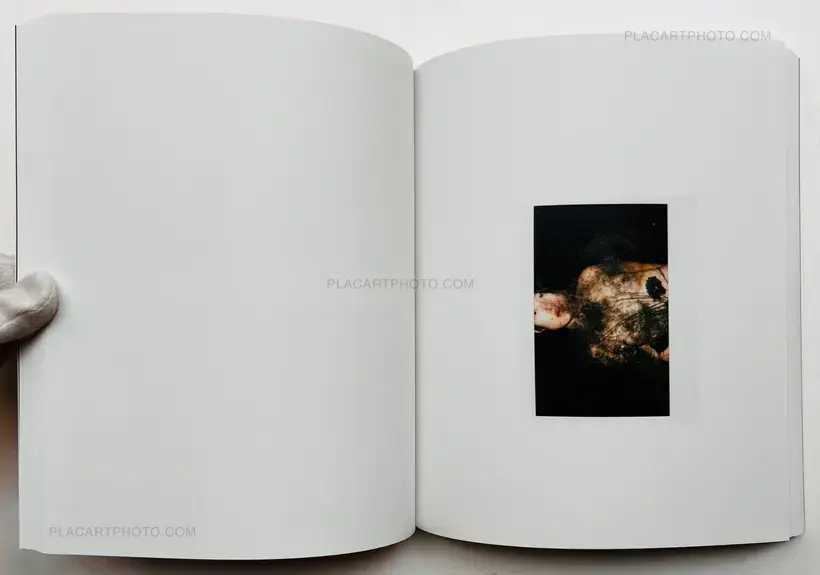 Why so shy? (SIGNED)