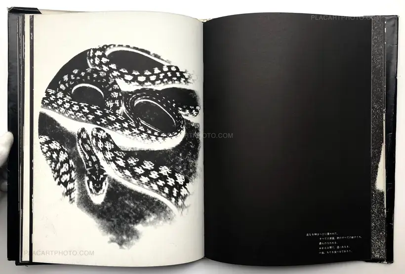 Adam and Eve (Signed)