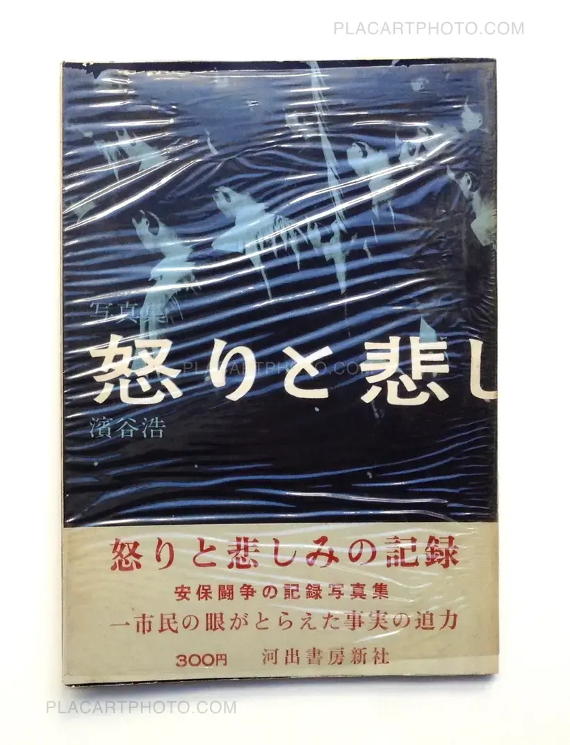 Record of Anger and Sadness