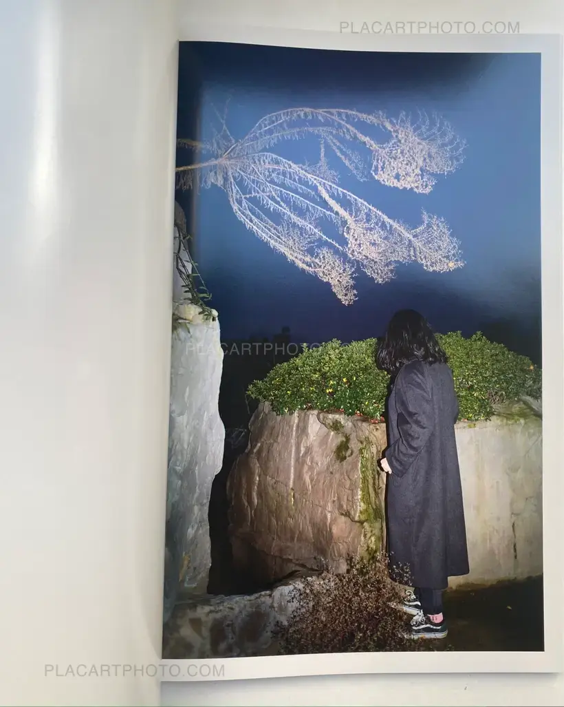 White Night (First edition)