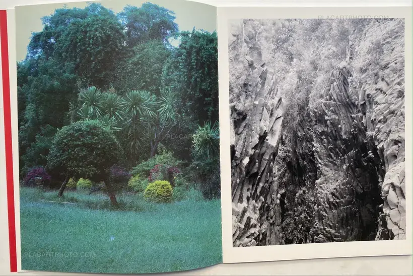 Prolifération (with signed print)