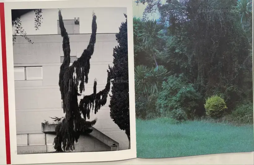 Prolifération (with signed print)