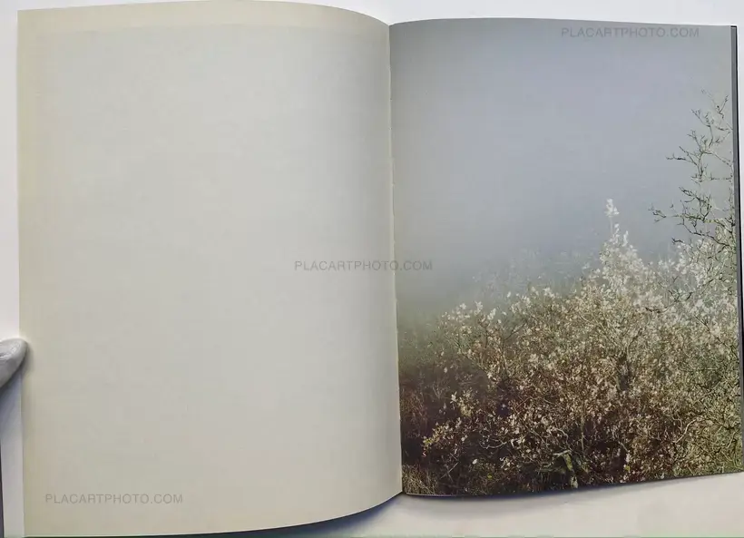 Prolifération (with signed print)