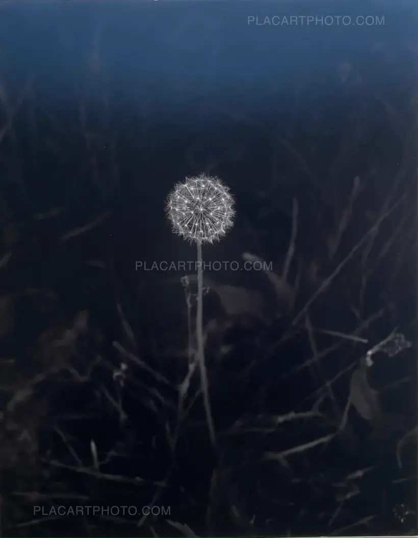 Prolifération (with signed print)