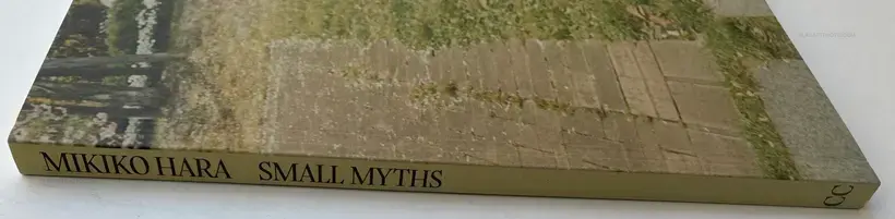 SMALL MYTHS
