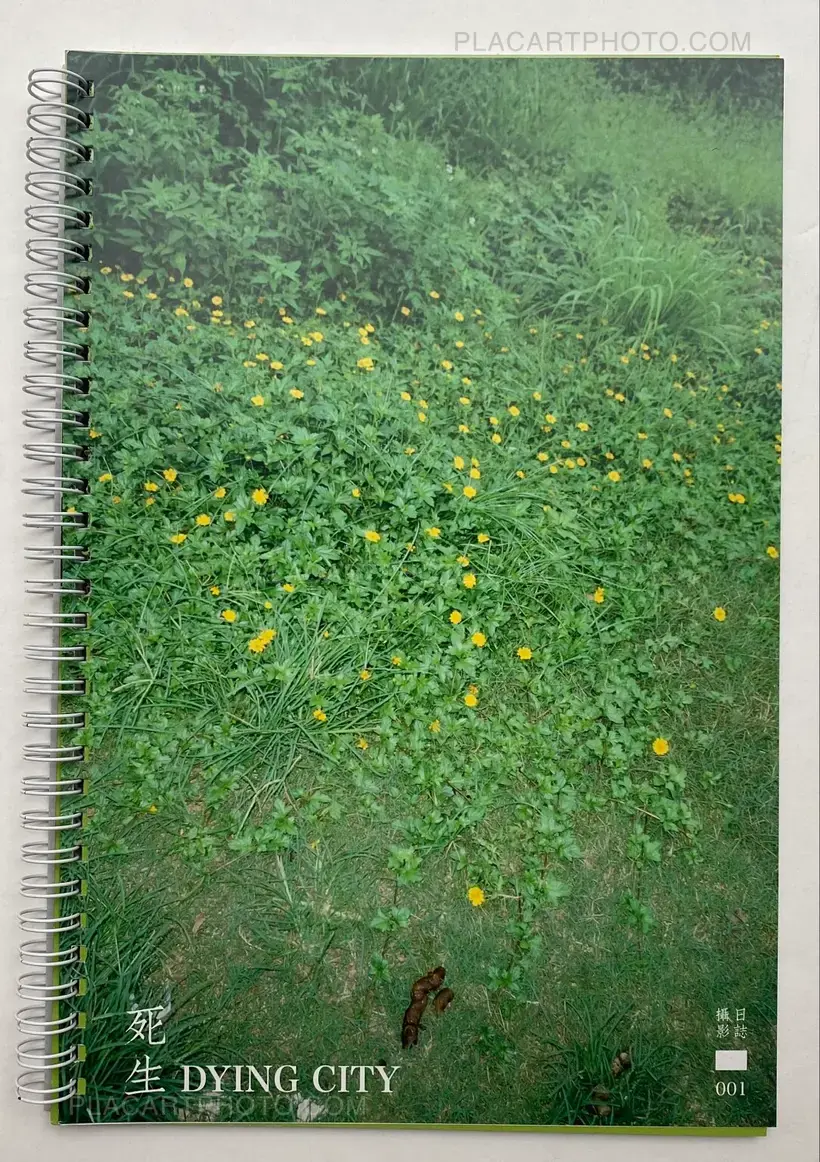 Dying City (COMPLETE SET OF 3)