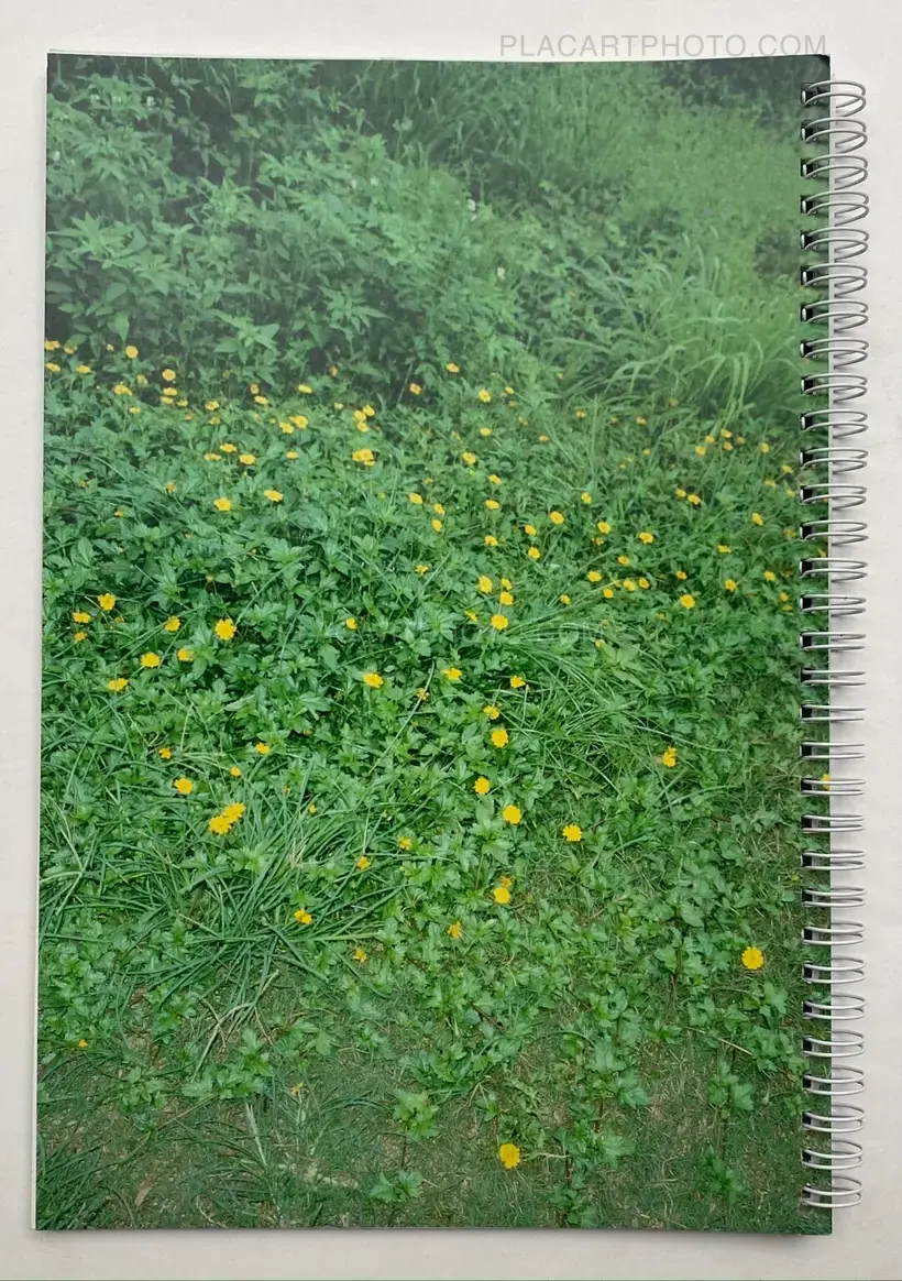 Dying City (COMPLETE SET OF 3)