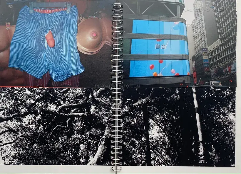 Dying City (COMPLETE SET OF 3)