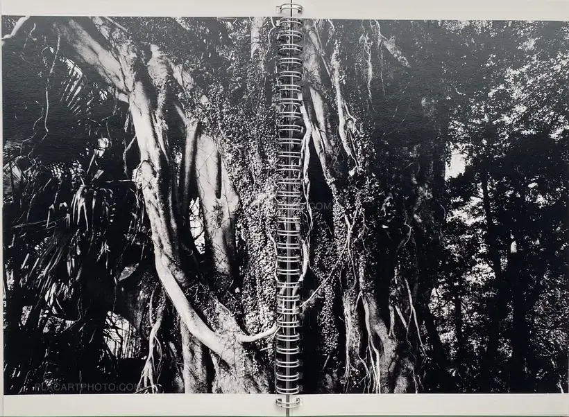 Dying City (COMPLETE SET OF 3)