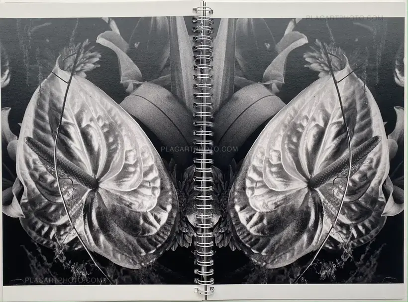 Dying City (COMPLETE SET OF 3)