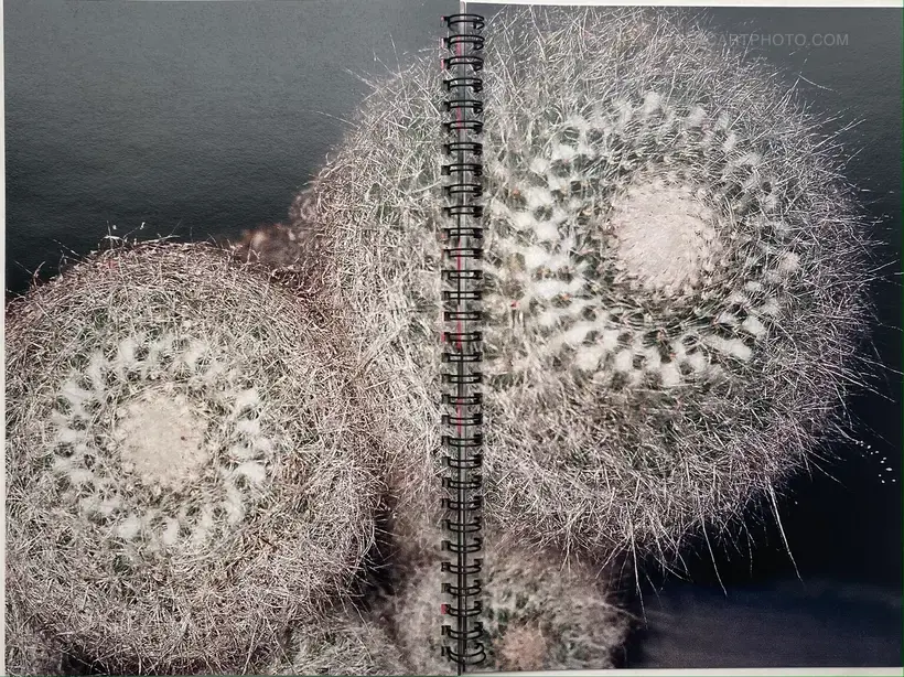 Dying City (COMPLETE SET OF 3)