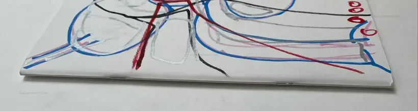 NEITHER A SALT SPRING NOR A HORSE (SIGNED)